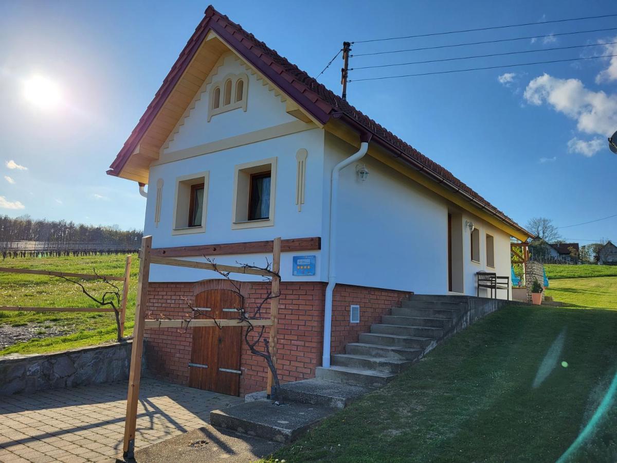 Kellerstoeckl Weinberg Villa Eisenberg an der Pinka Exterior photo